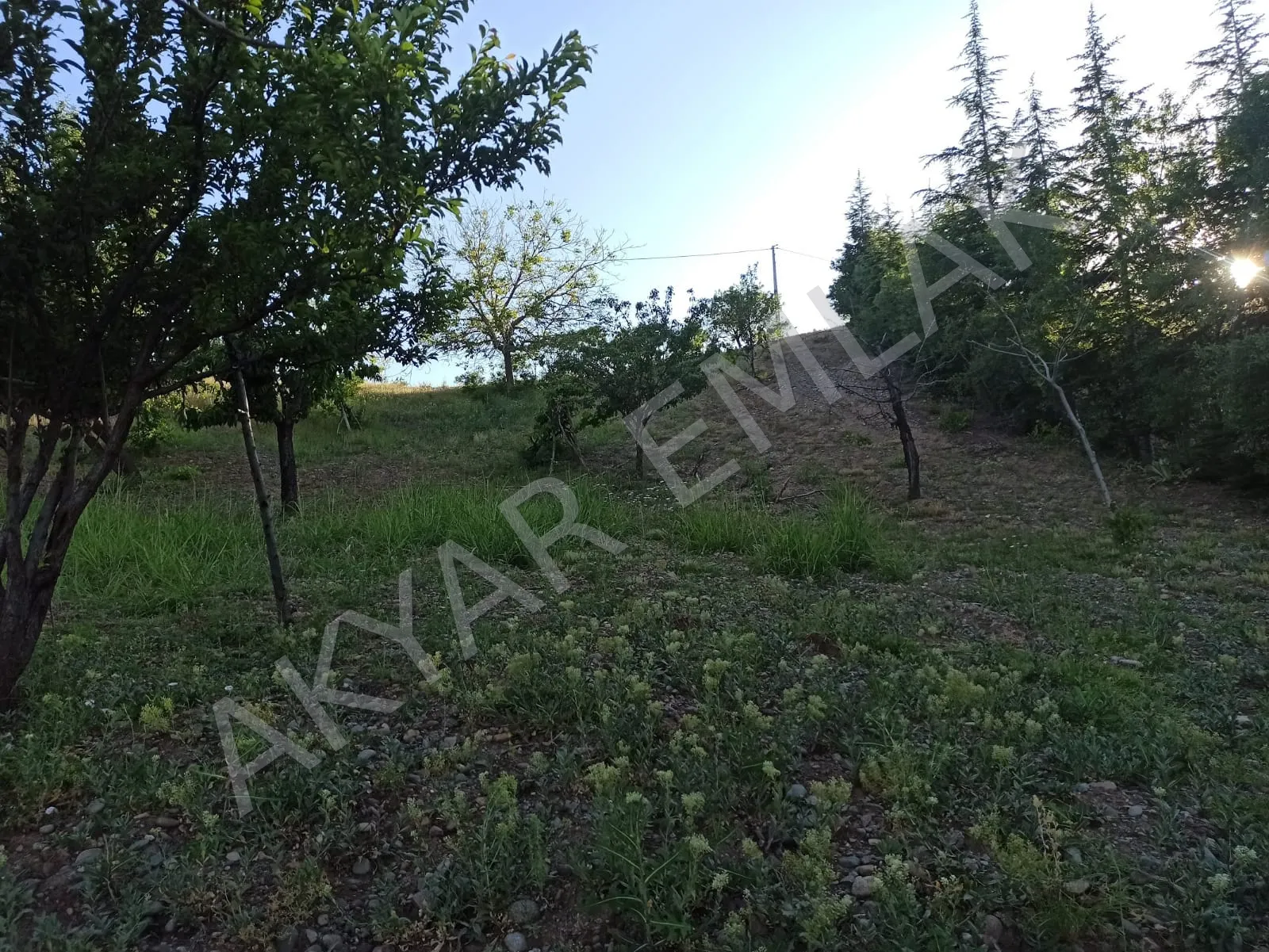 AKYAR EMLAK'DAN BEŞENLİ MAH. 1460 M2 TEK TAPU EV YERİ — 8