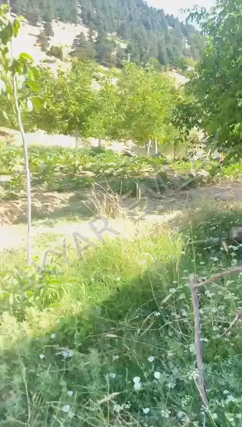 AKYAR EMLAK'DAN BEŞENLİ ASFALTA CEPHE BAHÇELİ YAZLIK EV VAR — 4