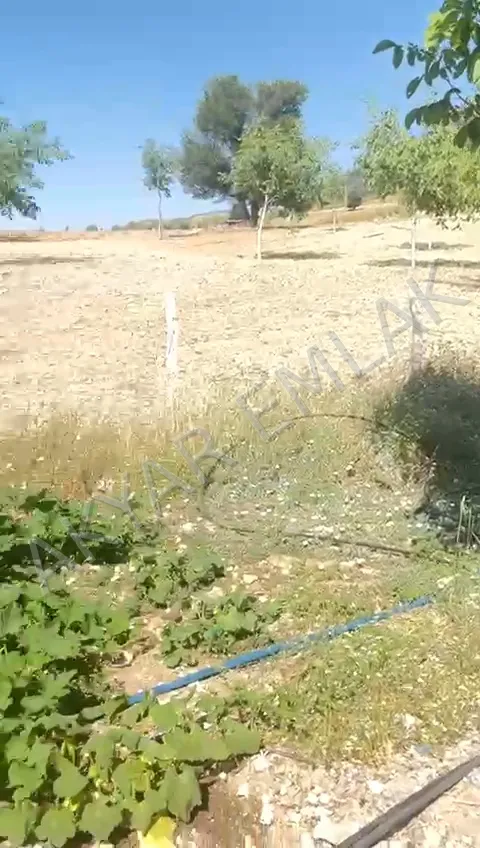 AKYAR EMLAK'DAN BEŞENLİ ASFALTA CEPHE BAHÇELİ YAZLIK EV VAR — 13