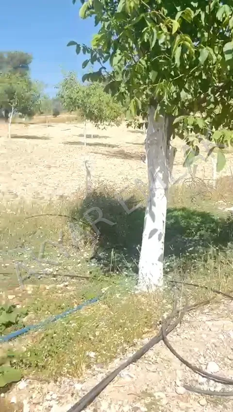 AKYAR EMLAK'DAN BEŞENLİ ASFALTA CEPHE BAHÇELİ YAZLIK EV VAR — 6