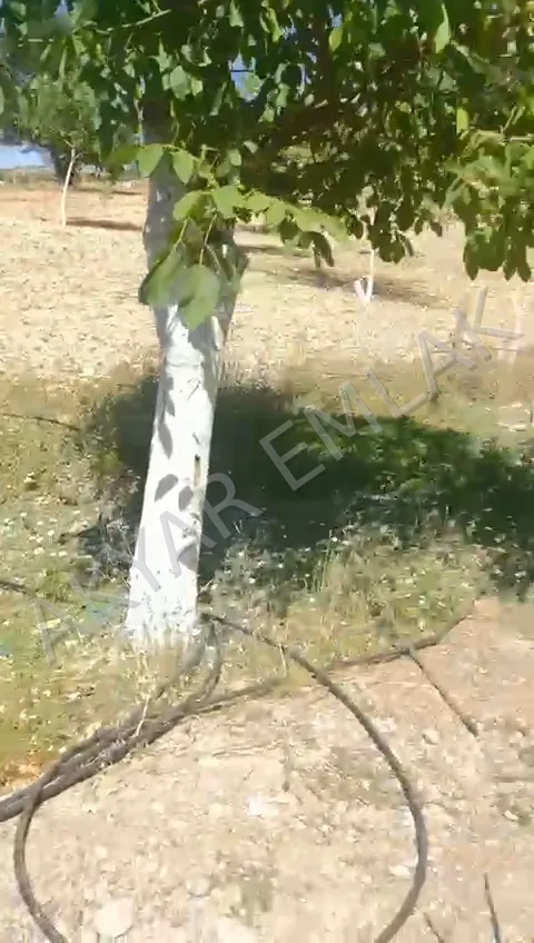 AKYAR EMLAK'DAN BEŞENLİ ASFALTA CEPHE BAHÇELİ YAZLIK EV VAR — 12